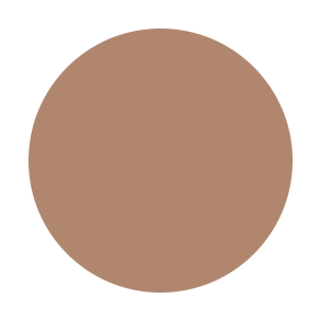 CAMERA READY PRIMER