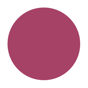 BLUSHER