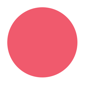 BLUSHER