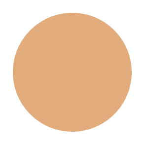 MINERAL FOUNDATION PRESSED