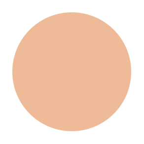 MINERAL FOUNDATION PRESSED